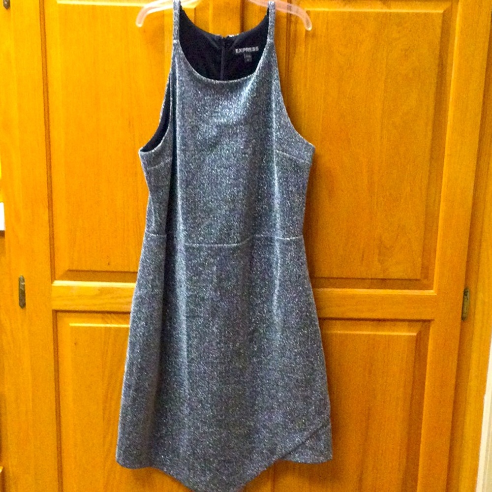 Beautiful Express Metallic Dress EUC